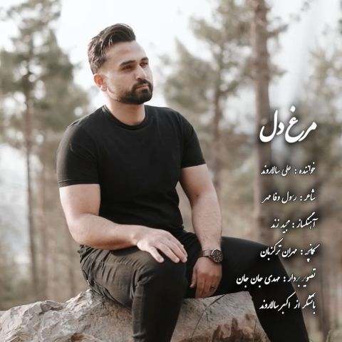 دانلود آهنگ علی سالاروند به نام مرغ دل